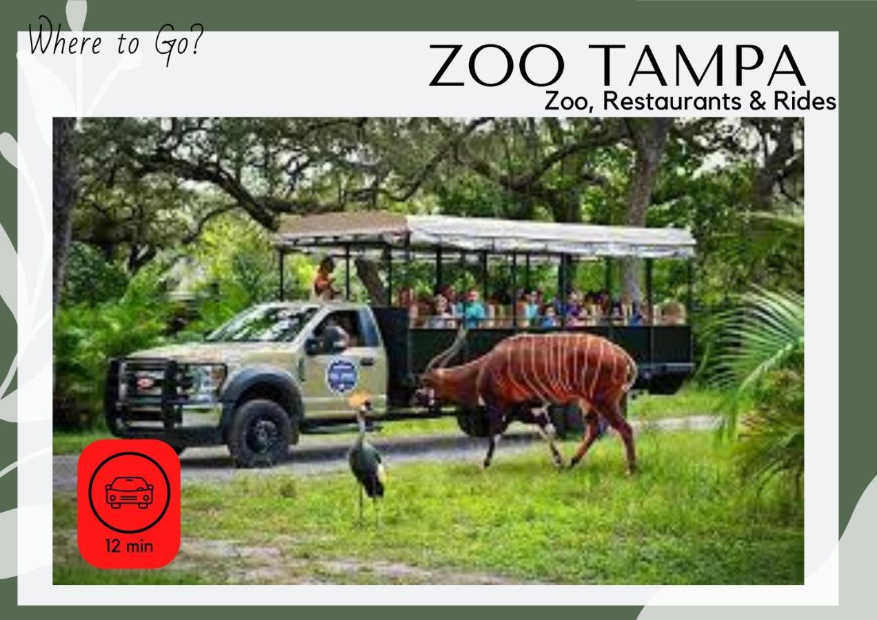 Cozy Home In Tampa Near Ybor & Busch Gardens Kültér fotó
